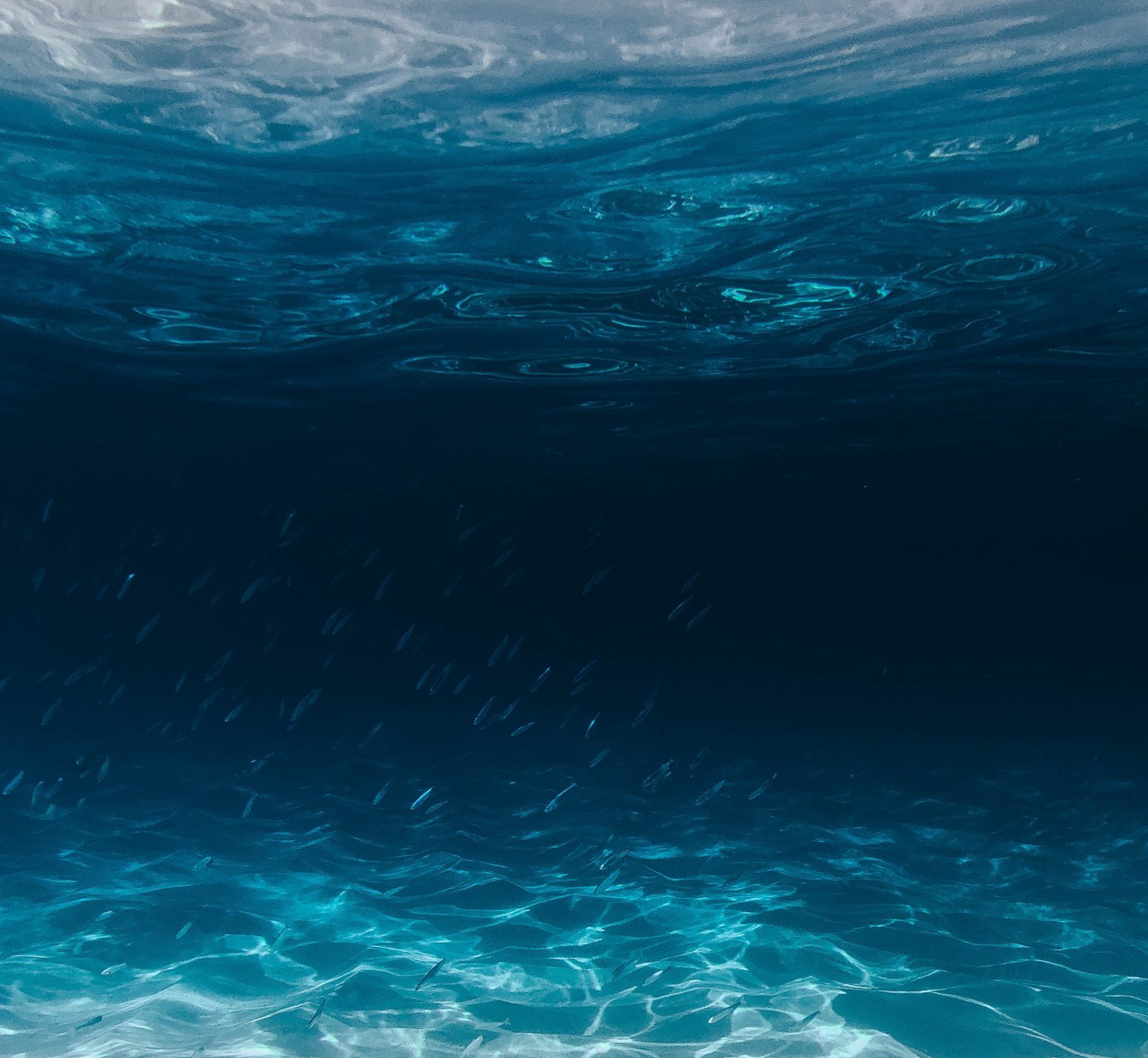 silas-baisch-K785Da4A_JA-unsplash